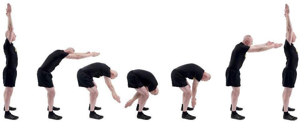 PD1 Bend and Reach