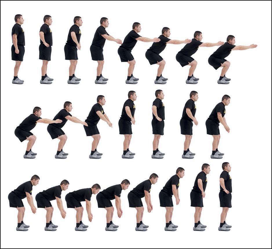PD5 Squat Bender