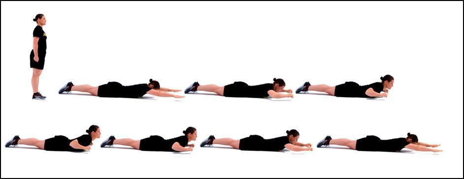 PD8 Prone Row