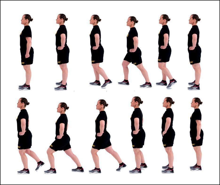 PD MOD2 Rear Lunge (modified)