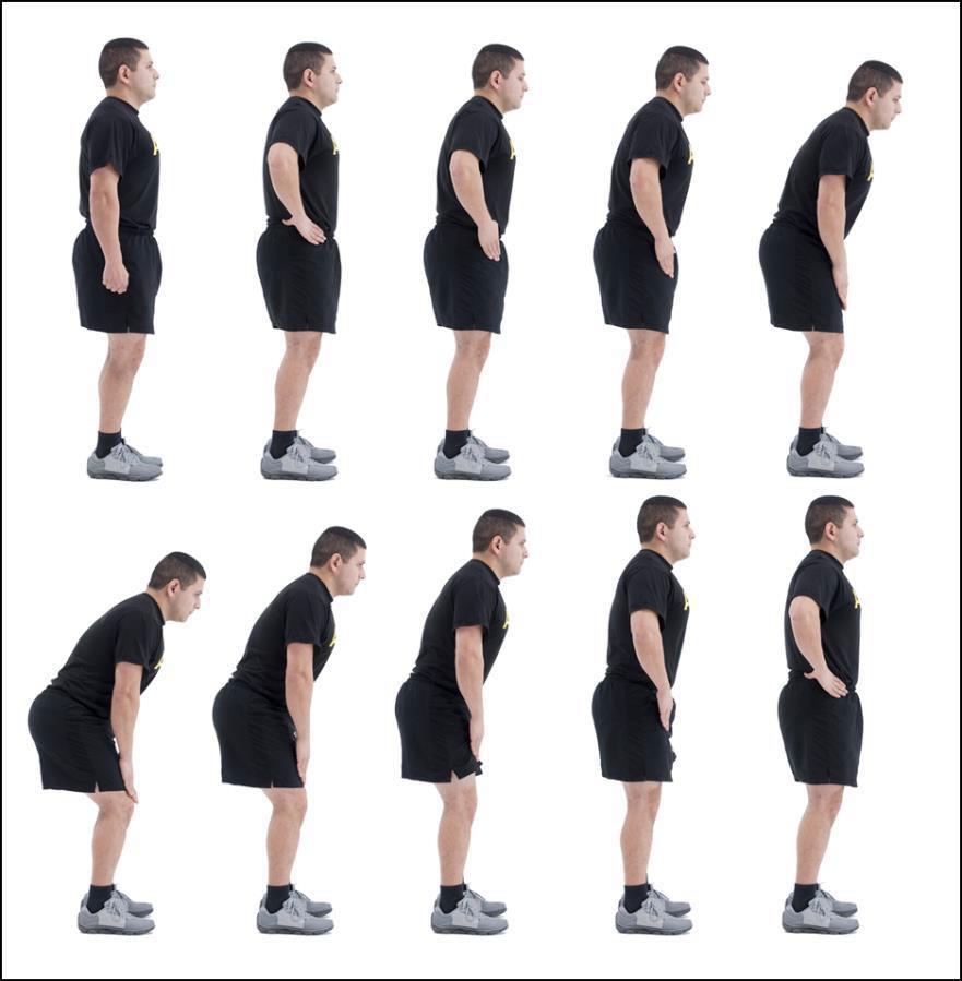 PD MOD5 Squat Bender (modified)