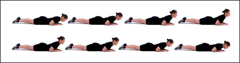 PD MOD8 Prone Row (modified)
