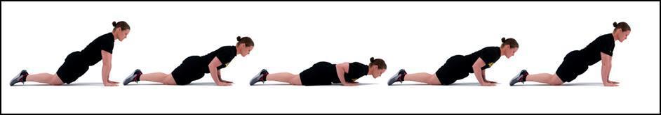 PD MOD10 Push-Up (modified)