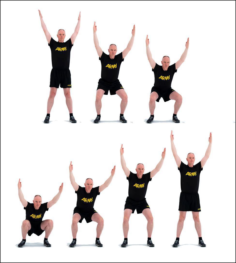 CD3.1 Y Squat