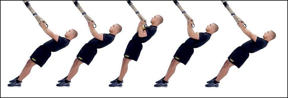 ST1.5 Decline Biceps Curl