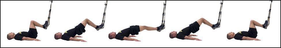 ST2.4 Suspension Hamstring Curl