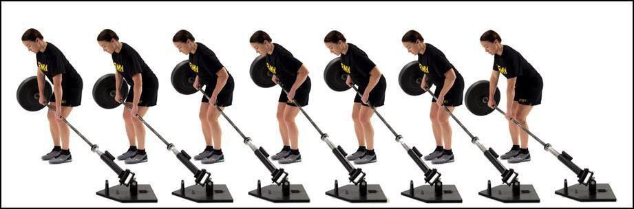 LM2.4 Bent-Over Row
