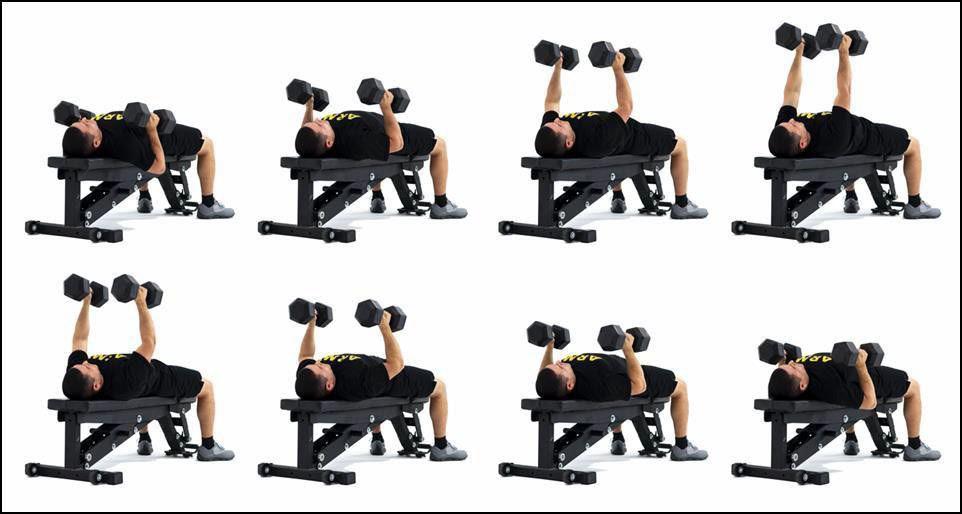 FW4 Bench Press—dumbbell