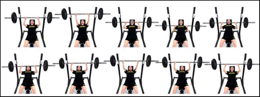FW5 Incline Bench