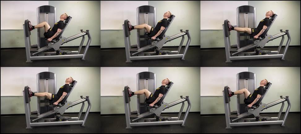 STM Leg Press