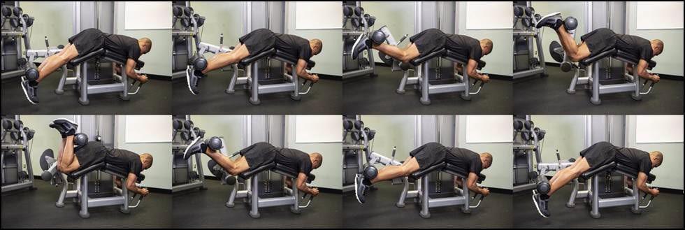 STM Leg Curl