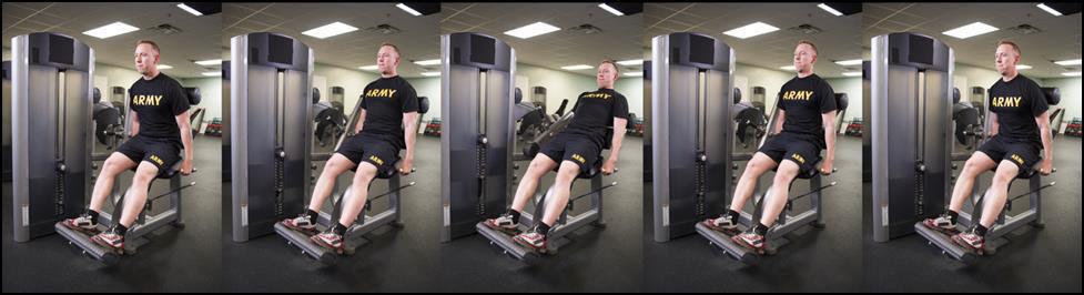 STM Trunk Extension