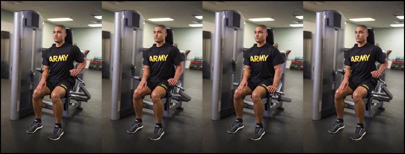 STM Single-Arm Triceps Extension