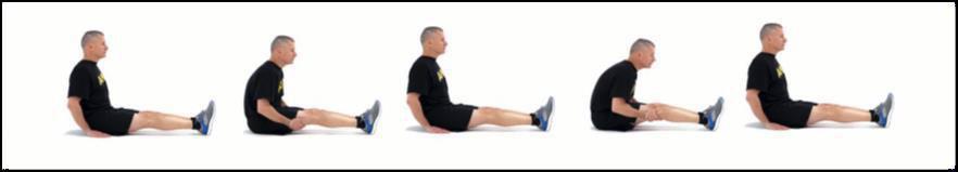 RD MOD8 Hamstring (modified)