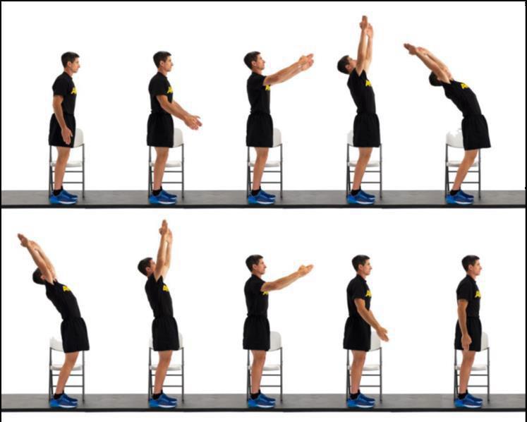 PMCS1 Spine—mid-back standing mobility