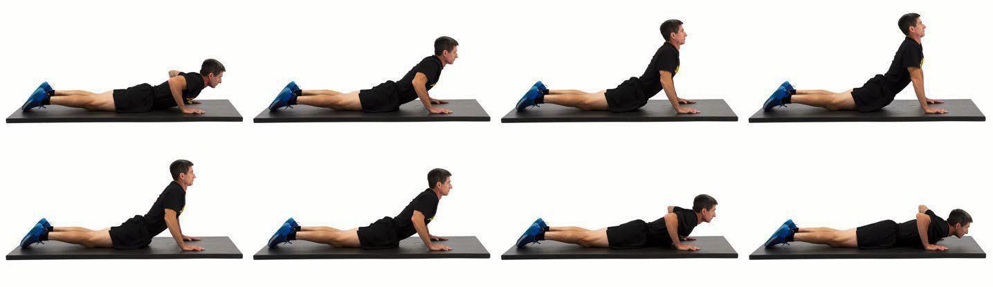 PMCS1 Spine—low back prone
