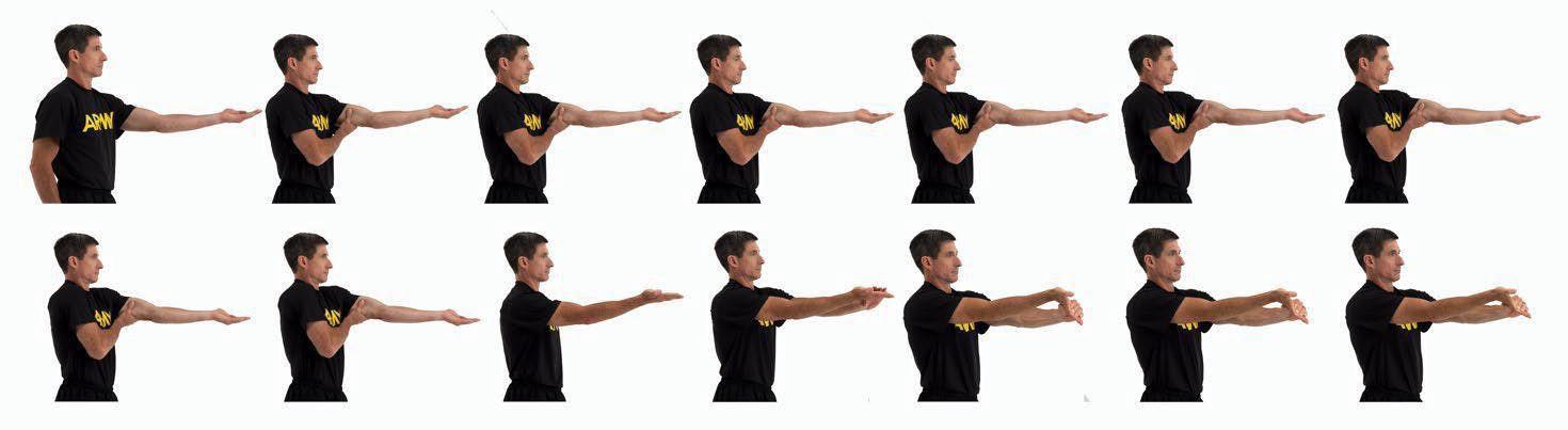 PMCS6 Elbow and wrist